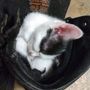 Meet your Posher, James